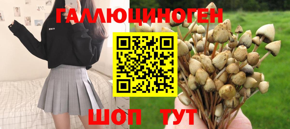 Шали  Псилоцибиновые грибы Cubensis  Псилоцибиновые грибы Psilocybine cubensis  Вход с VPN 